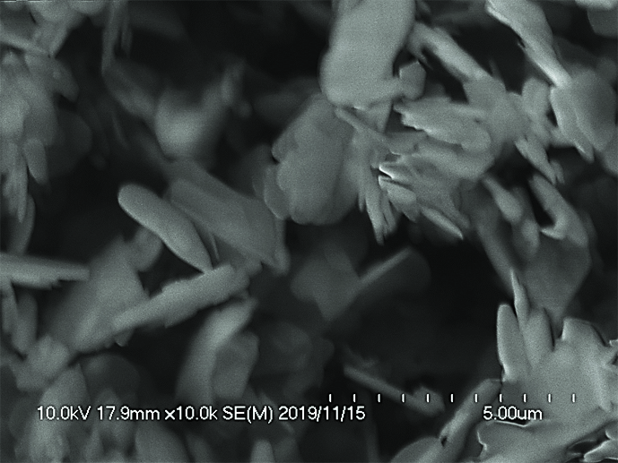 窒化ホウ素ナノレベル分散スラリー 分散状態を示す顕微鏡写真
