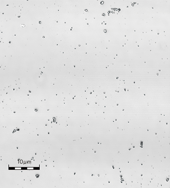 窒化ホウ素ナノレベル分散スラリー 分散状態を示す顕微鏡写真 MARUKA