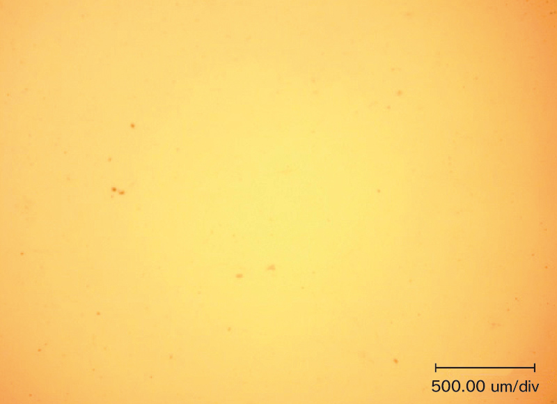 窒化ホウ素ナノレベル分散スラリー 分散状態を示す顕微鏡写真
